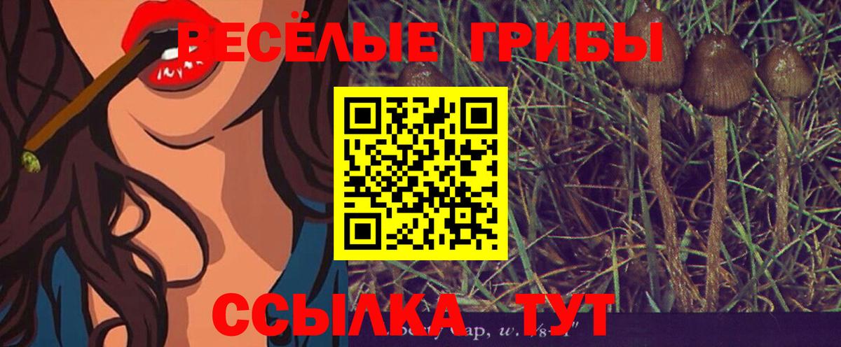 Псилоцибиновые грибы MAGIC MUSHROOMS  Галлюциногенные грибы ЛСД  Мурманск  наркота  Вход с VPN 
